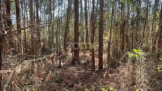 Land for sale in Vieira do Minho, Portugal — €14,900