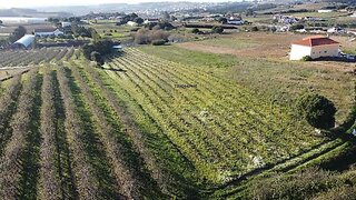 Land for sale in Lourinhã, Portugal — €75,000