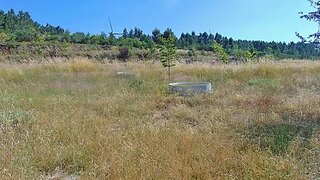 Land for sale in Moimenta da Beira, Portugal — €40,000
