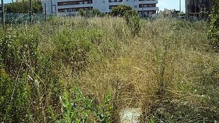 Land for sale in Porto, Portugal — €1,700,000