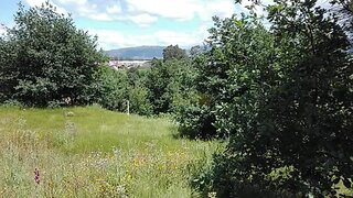 Land for sale in Vila Nova de Cerveira, Portugal — €25,000