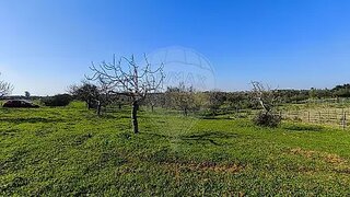 Land for sale in Torres Novas, Portugal — €38,000