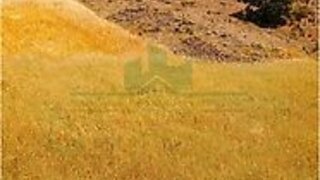 Land for sale in Castro Marim, Portugal — €10,000