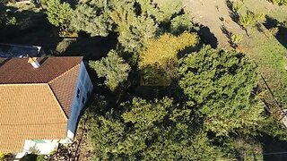 Terreno de 1380 m² em Coimbra