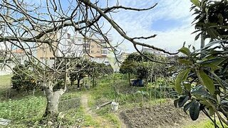 Land for sale in Figueira da Foz, Portugal — €55,000