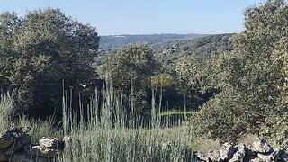 Land for sale in Almeida, Portugal — €60,000