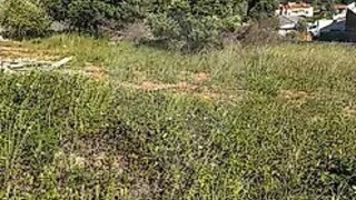Land for sale in Vila Franca de Xira, Portugal — €95,000