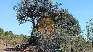 Land for sale in Castro Marim, Portugal — €16,900