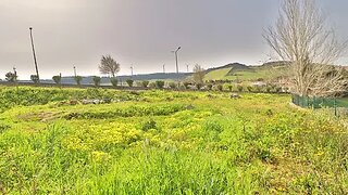 Land for sale in Torres Vedras, Portugal — €250,000