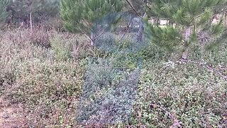 Land for sale in Oliveira do Bairro, Portugal — €48,000
