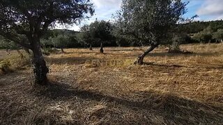 Land for sale in Castelo Branco, Portugal — €15,000