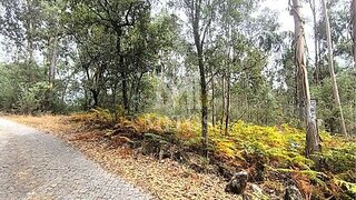 Terreno para venda em Barcelos, Portugal — 45 000 €