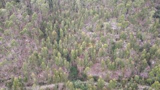 Terreno para venda em Ponte de Lima, Portugal — 19 000 €
