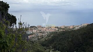 Land for sale in Santa Cruz, Portugal — €230,000