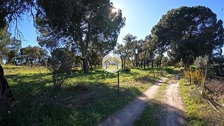 Terreno em Montemor-o-Novo
