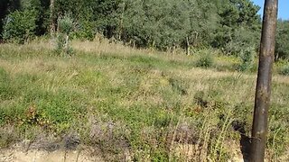 Land for sale in Águeda, Portugal — €95,000