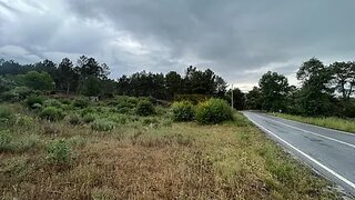 Terreno de 4437 m² em Guarda