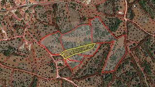 Land for sale in Torres Novas, Portugal — €2,000