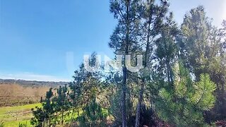 Terreno de 1808 m² em Viseu