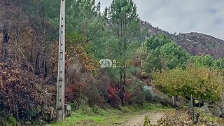 Land for sale in Tabuaço, Portugal — €21,000