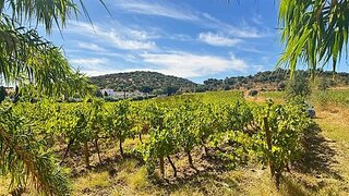 Land for sale in Borba, Portugal — €55,000