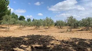 Land for sale in Montijo, Portugal — €100,000