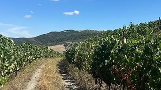 Land for sale in São João da Pesqueira, Portugal — €35,000
