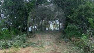 Land for sale in Alvaiázere, Portugal — €19,000