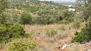 Terreno · 11 600 m² · 38 000 €