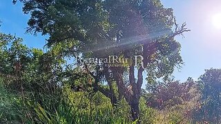 Land for sale in Aljezur, Portugal — €65,000