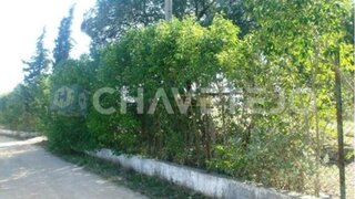 Land for sale in Tomar, Portugal — €65,000