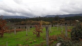 Terreno em Arcos de Valdevez
