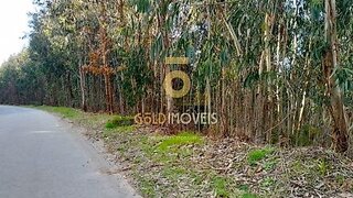Land for sale in Castelo de Paiva, Portugal — €800,000