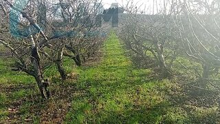 Land for sale in Alenquer, Portugal — €210,000
