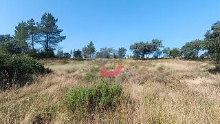 Terreno de 1720 m² em Castelo Branco