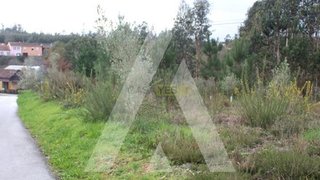 Land for sale in Albergaria-a-Velha, Portugal — €50,000