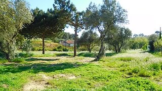 Land for sale in Caldas da Rainha, Portugal — €190,000