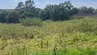 Land for sale in Cadaval, Portugal — €43,500