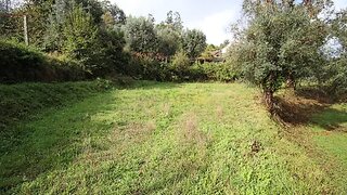 Land for sale in Ponte de Lima, Portugal — €50,000