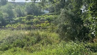 Land for sale in Soure, Portugal — €59,900