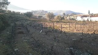 Terreno em São João da Pesqueira