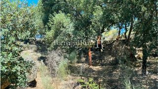 Land for sale in Idanha-a-Nova, Portugal — €375,000