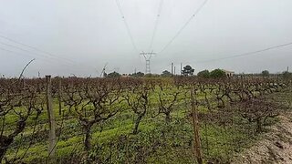 Land for sale in Palmela, Portugal — €199,000