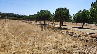 Land for sale in Cartaxo, Portugal — €75,000