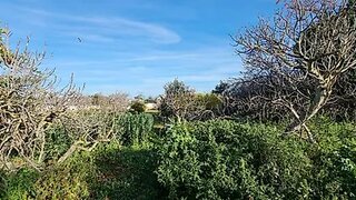 Land for sale in Tavira, Portugal — €430,000