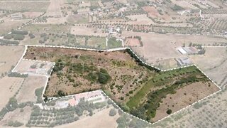 Land for sale in Cartaxo, Portugal — €650,000