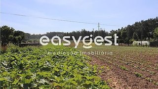 Land for sale in Pombal, Portugal — €200,000