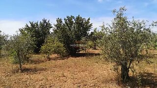Land for sale in Seia, Portugal — €20,000