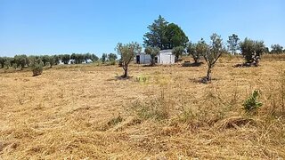 Land for sale in Idanha-a-Nova, Portugal — €24,000