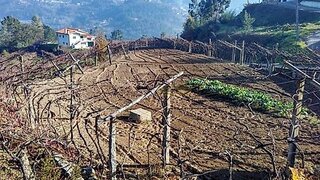 Land for sale in Castelo de Paiva, Portugal — €21,000